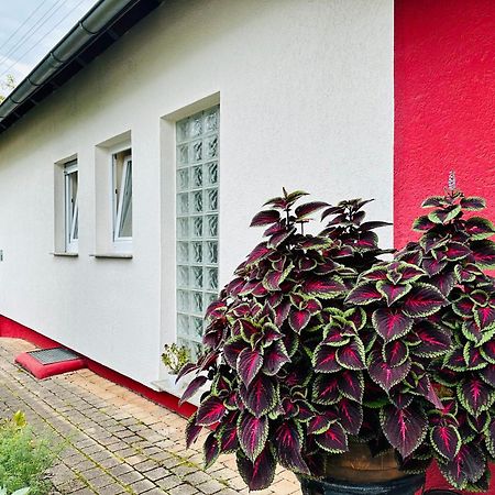 ☆Gemuetliche 1-Zimmerwohnung Mit Terrasse☆ Rielingshausen Extérieur photo
